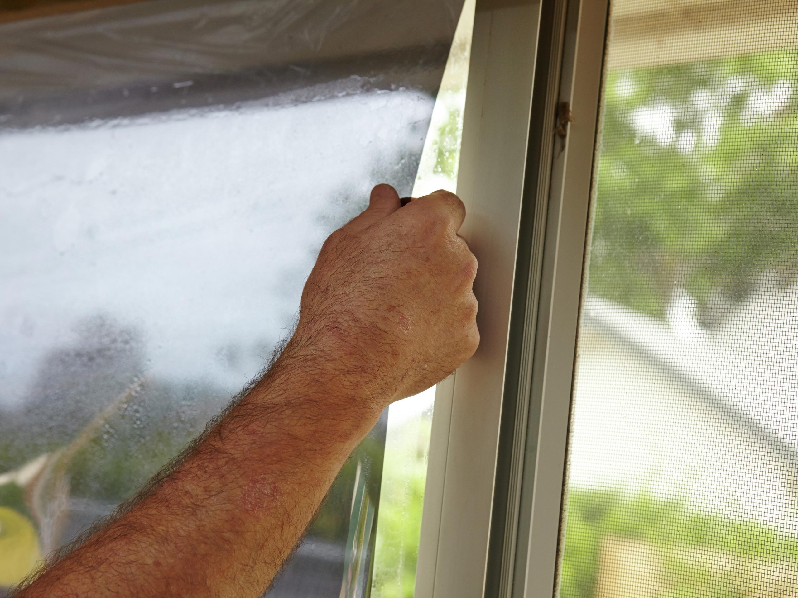 Window firm