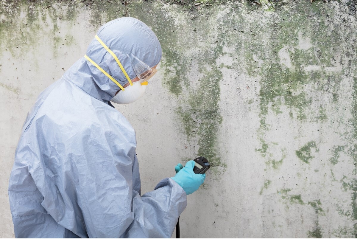 Mould Removal